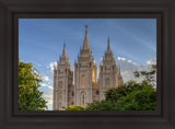 Salt Lake City Utah Temple In His Light