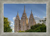 Salt Lake City Utah Temple In His Light