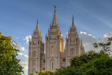 Salt Lake City Utah Temple In His Light