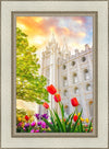 Salt Lake Spring Tulips