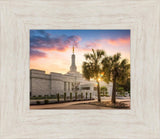 Columbia Palmetto Sunset