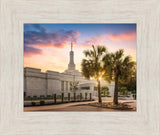 Columbia Palmetto Sunset