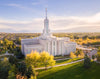 Golden Timpanogos