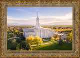 Golden Timpanogos