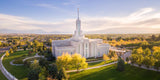 Golden Timpanogos