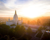 Oakland Sunburst