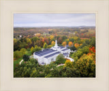 Palmyra and Sacred Grove Aerial