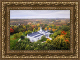 Palmyra and Sacred Grove Aerial