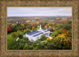 Palmyra and Sacred Grove Aerial