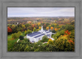 Palmyra and Sacred Grove Aerial