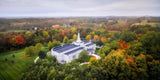 Palmyra and Sacred Grove Aerial