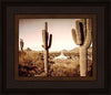 Phoenix Saguaro Cactus