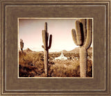 Phoenix Saguaro Cactus