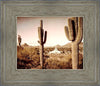 Phoenix Saguaro Cactus