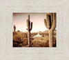 Phoenix Saguaro Cactus