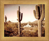 Phoenix Saguaro Cactus