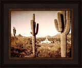 Phoenix Saguaro Cactus