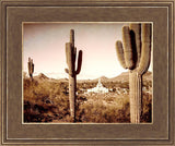 Phoenix Saguaro Cactus