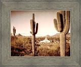 Phoenix Saguaro Cactus