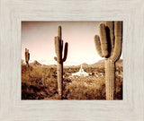 Phoenix Saguaro Cactus