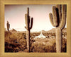 Phoenix Saguaro Cactus