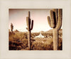 Phoenix Saguaro Cactus