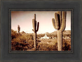 Phoenix Saguaro Cactus