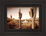 Phoenix Saguaro Cactus