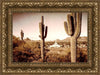 Phoenix Saguaro Cactus