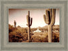 Phoenix Saguaro Cactus