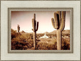 Phoenix Saguaro Cactus