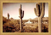 Phoenix Saguaro Cactus