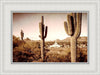 Phoenix Saguaro Cactus