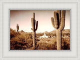 Phoenix Saguaro Cactus