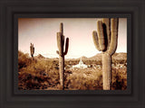 Phoenix Saguaro Cactus