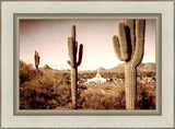 Phoenix Saguaro Cactus