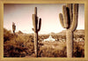 Phoenix Saguaro Cactus