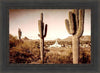 Phoenix Saguaro Cactus