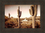 Phoenix Saguaro Cactus