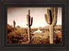 Phoenix Saguaro Cactus