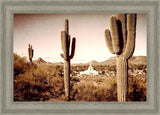 Phoenix Saguaro Cactus