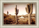 Phoenix Saguaro Cactus