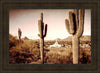 Phoenix Saguaro Cactus