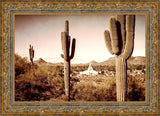 Phoenix Saguaro Cactus