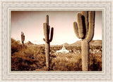 Phoenix Saguaro Cactus