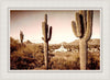 Phoenix Saguaro Cactus