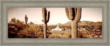 Phoenix Saguaro Cactus