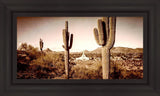 Phoenix Saguaro Cactus