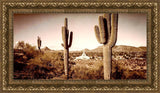 Phoenix Saguaro Cactus