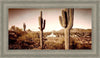 Phoenix Saguaro Cactus